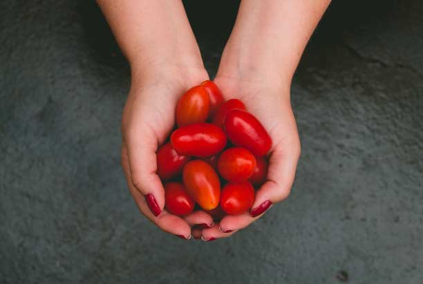 tomatoes in a hand