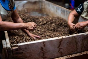 2 man moving and working with compost