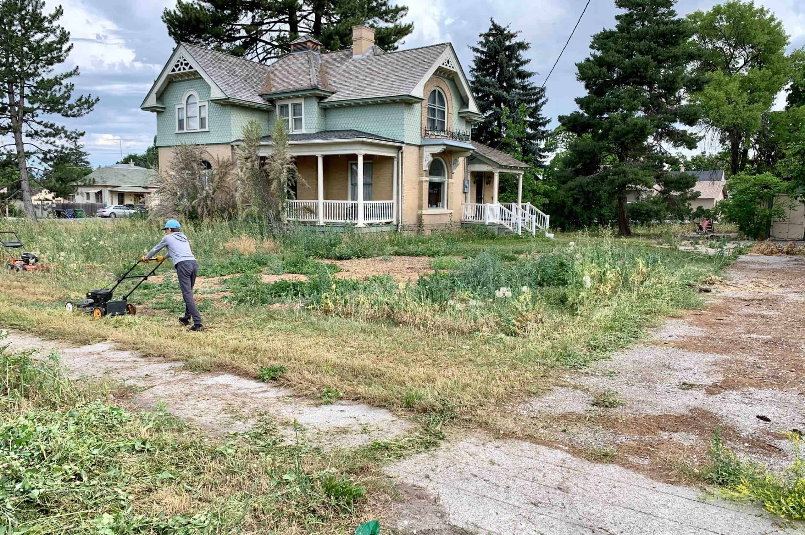 kid using vinegar and salt to kill weeds