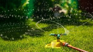 sprinkler head watering the lawn