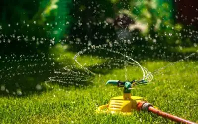 best sprinkler head for your lawn