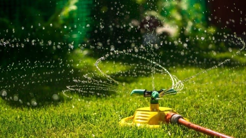 best sprinkler head for your lawn