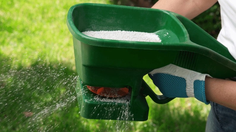 woman spreading fertilizer with a handheld spreader