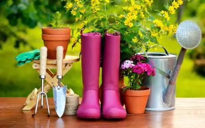 best garden gifts to give in 2021