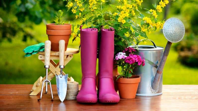 best garden gifts to give in 2021