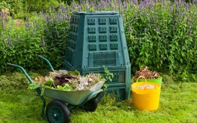 Best Compost accelerator (5 ways to make compost in a month)