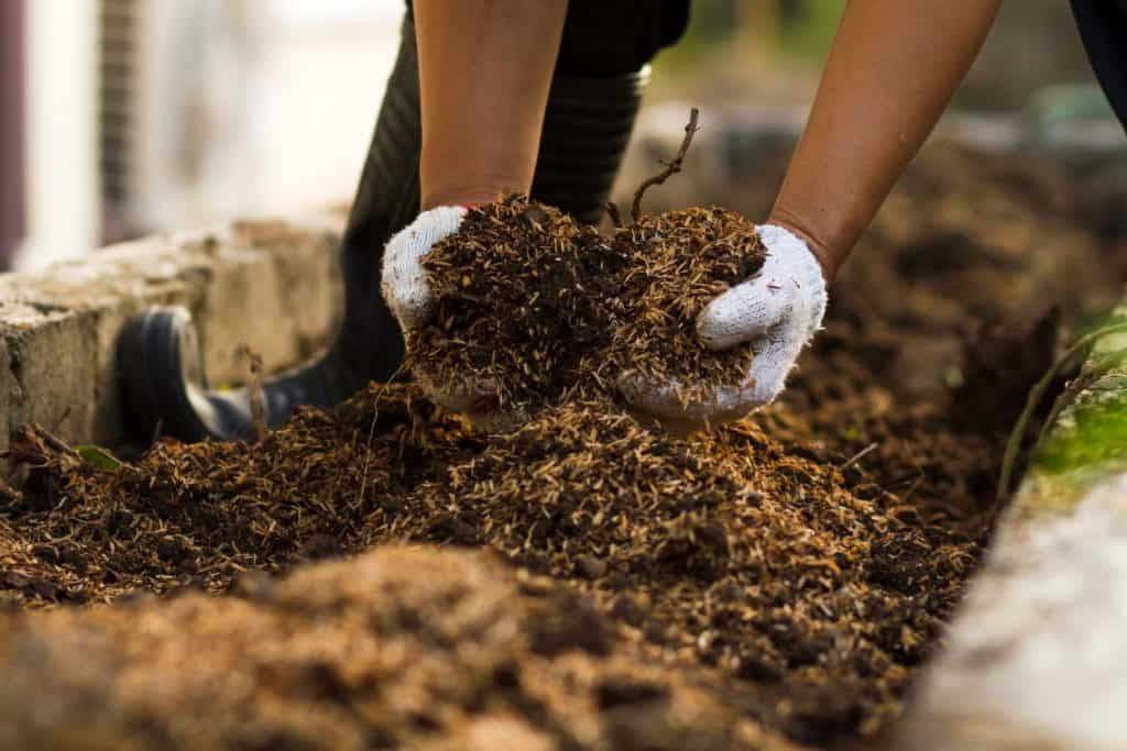 mixing the old compost with new one 