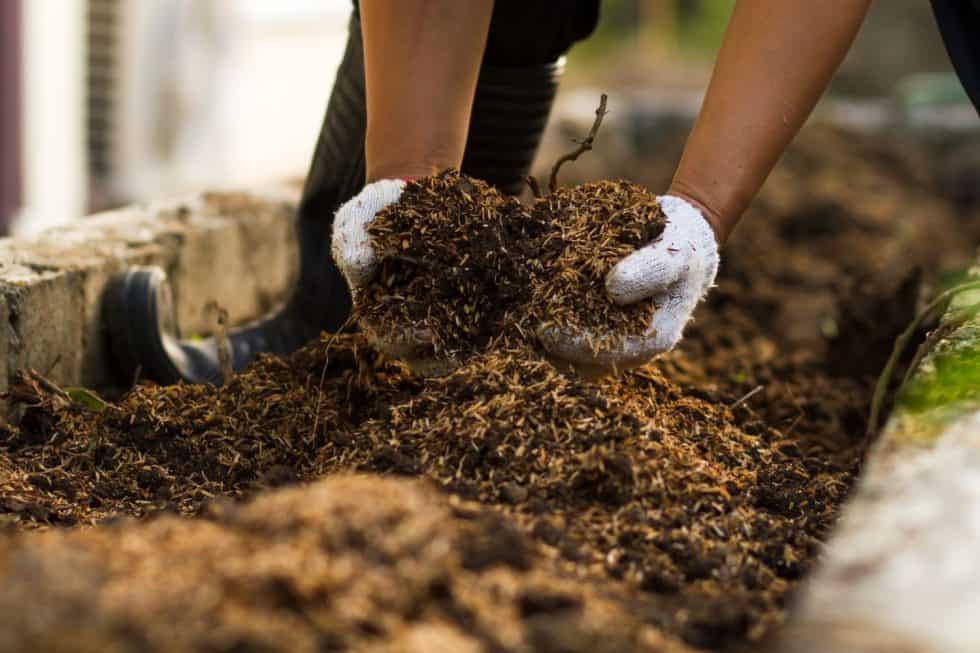 Best Compost accelerator (5 ways to make compost in a month) Greenisher
