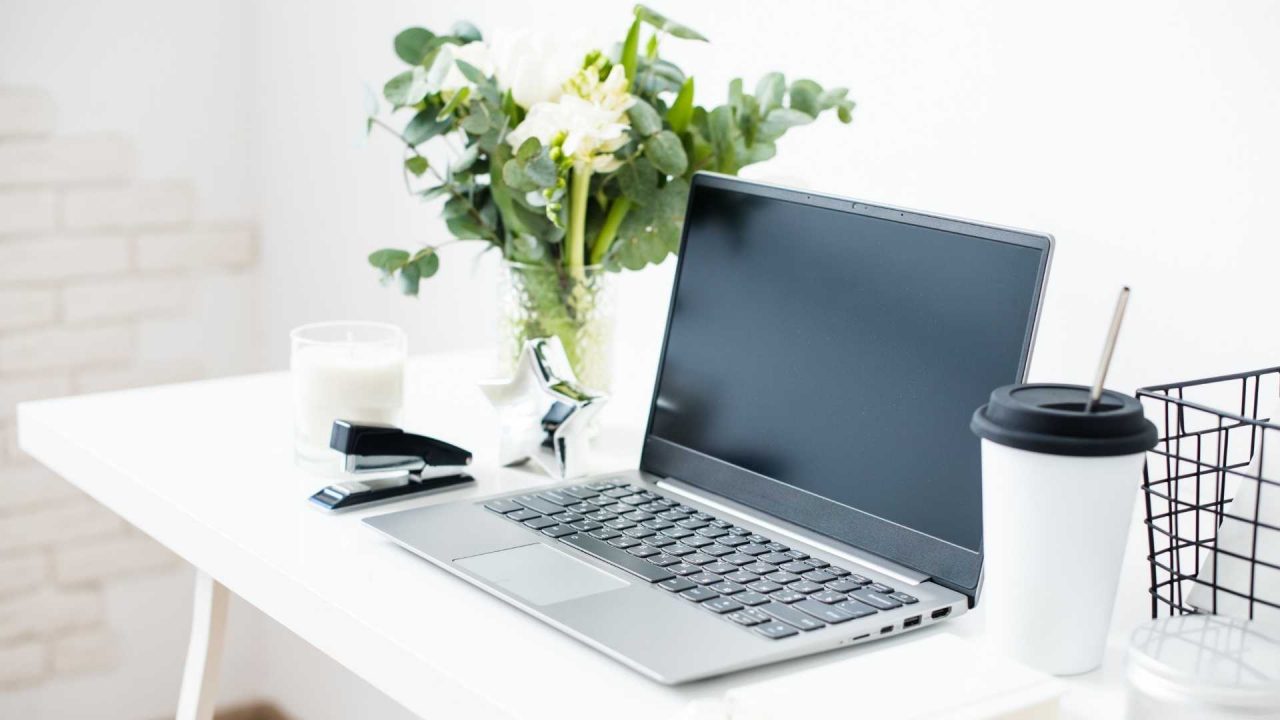 Plants for offices with no windows Greenisher